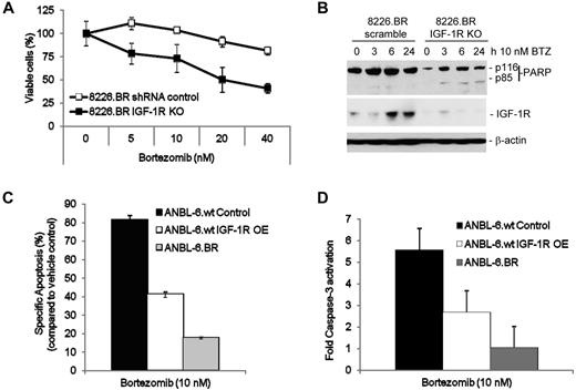 Figure 4. IGF-1R signaling mediates resistance to bortezomib. Expression of IGF-1Rα/β was suppressed in RPMI 8226.wt and 8226.BR cells by infecting them with Lentiviral vectors expressing receptor-specific shRNAs. These cells (1 × 104/well) were then plated in 96-well plates, bortezomib was added at the indicated concentrations for 24 hours, and either the WST-1 assay (A) or Western blotting (B) was performed. Data presented are representative from experiments performed in triplicate. ANBL-6.wt cells overexpressing IGF-1R protein (IGF-1R OE) were treated with bortezomib for 24 hours, and levels of apoptosis (C) and activated caspase-3 (D) were measured using fluorescence-activated cell sorting analysis. IGF-1R–overexpressing cell results were then compared with vector control ANBL-6.wt cells. Data shown are the mean of duplicate experiments ± SD.