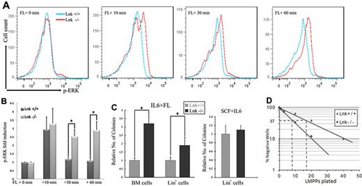 Figure 6. FL-dependent signaling and progenitor expansion are enhanced in Lnk−/− mice. (A-B) Primary BM cells from Lnk+/+ and Lnk−/− mice were cytokine starved for 6 hours and stimulated with FL for the indicated times. After fixation and permeabilization, cells were sorted by FLT3 expression. Phosphorylation of ERK was measured in FLT3+ cells using flow cytometry, and the mean intensity is shown. (C) Methylcellulose colony forming assays were performed with either primary BM cells or Lin− BM cells from Lnk+/+ and Lnk−/− mice in the presence of either FL + IL6 or SCF. Assays were performed in duplicate and data represent the means ± SD of 4 independent mice. (D) Limiting-dilution assay of sorted LMPPs (Flt3+Sca1+Kit+Lin−) was performed in the presence of FL and IL6. The frequencies of FL-responsive LMPPs (with 95% confidence limits) were 1 in 9 (7-11) and 1 in 18 (15-22) within the sorted cells isolated from Lnk−/− and Lnk+/+ mice, respectively.