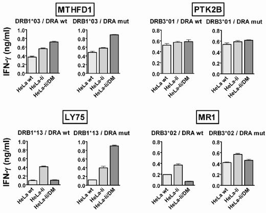 Figure 3. HLA-DM sensitivity is mediated via interaction with HLA-DRα. The effect of point mutation E40K in DRα (DRA mut) versus wild-type DRα (DRA wt) was tested on the presentation of DM-resistant antigens MTHFD1 and PTK2B (top) as well as DM-sensitive antigens LY75 and MR1 (bottom). HeLa variants were transduced with the genes for DRA wt or DRA mut in combination with the appropriate DRB chains and tested for T-cell recognition after exogenous loading of the indicated recombinant proteins. Mean ± SD release of IFN-γ after coincubation with the specific T-cell clones is depicted.