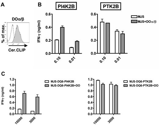 Figure 4. HLA-DM sensitivity is reversible by HLA-DO. (A) Histograms are shown for class II–associated invariant chain peptide (CLIP) surface expression on MJS wt (open) and MJS cells transduced with HLA-DOα/β (filled) as measured by flow cytometry. (B) The influence of HLA-DO on presentation of the DM-sensitive antigen PI4K2B and DM-resistant antigen PTK2B was analyzed by testing T-cell recognition of MJS wt (open bars) and MJS transduced with HLA-DOα/β (closed bars). MJS melanoma cells endogenously express the invariant chain and HLA-DM but lack expression of HLA-DO. The HLA-DRB3*0101 restriction allele for PTK2B is endogenously expressed by MJS cells and the HLA-DQB1*0603/DQA1*0103 restriction allele for the HLA class II epitope from PI4K2B was introduced retrovirally. To induce antigen expression, MJS cells were loaded with recombinant proteins in 2 different concentrations. Mean ± SD release of IFN-γ in duplicate wells is shown. (C) MJS-DQ6 (open bars) and MJS-DQ6-DO (closed bars) cells were transduced with retroviral vectors encoding PI4K2B and PTK2B to test the influence of HLA-DO on endogenously expressed antigens. T-cell recognition was tested against titrated numbers of target cells (10 000 and 3000), and mean ± SD release of IFN-γ in duplicate wells is shown.