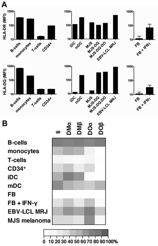 Figure 6. Coordinated expression of HLA-DQ and HLA-DOβ in professional APCs. (A) The mean fluorescence intensity (MFI) of flow cytometric staining for HLA-DR (left) and HLA-DQ (right) are shown for primary B cells (CD19+), monocytes (CD14+), T cells (CD3+), hematopoietic stem cells (CD34+), immature and mature dendritic cells (DCs), MJS melanoma cells with and without transduced HLA-DQ and HLA-DO, EBV-transformed B-cell lines (EBV-LCL) from patient MRJ, as well as fibroblasts with and without IFN-γ treatment. For primary cells means and SDs of duplicate stainings are shown. (B) mRNA expression of invariant chain (Ii), DMα and DMβ, and DOα and DOβ was measured by microarray gene expression analysis in primary B cells, monocytes, T cells, hematopoietic stem cells (CD34+), immature and mature DCs, MJS melanoma cells, EBV-LCL from patient MRJ, as well as fibroblasts with and without IFN-γ treatment. Relative gene expression is depicted for the mean of 3 independent samples for each cell type.
