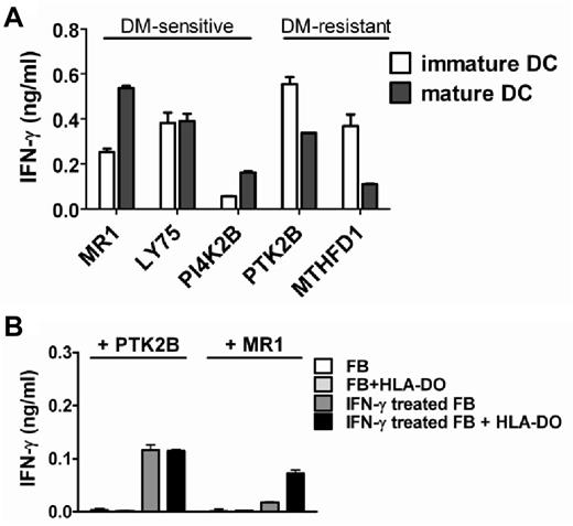 Figure 7. Presentation of DM-sensitive antigens on primary hematopoietic and IFN-γ–treated nonhematopoietic cell types is regulated by HLA-DO. (A) Monocyte-derived immature (open bars) and mature (closed bars) dendritic cells (DCs) were generated from patient MRJ expressing all 5 antigens as well as their respective HLA class II restriction alleles, and recognition by the specific T-cell clones was tested by IFN-γ ELISA. Indicated is the T-cell recognition of mature versus immature DCs. (B) Primary fibroblasts expressing HLA-DRB3*0101 and DRB3*0202 with and without transduced HLA-DO were pulsed with recombinant MR1 (DM-sensitive) and PTK2B (DM-resistant) proteins, and recognition by the specific T-cell clones was tested without cytokine pretreatment or after 3-4 days of treatment with IFN-γ. Mean ± SD release of IFN-γ in duplicate wells is shown. The fibroblasts used for T-cell recognition were included in the microarray analysis as depicted in Figure 6B.