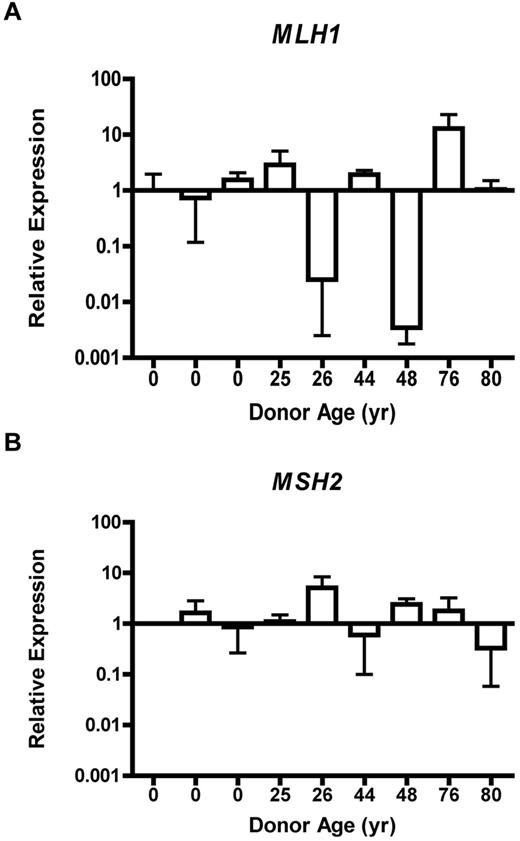 Figure 3. MLH1 gene expression is dysregulated, whereas MSH2 expression remains stable in CD34+ cells. Relative expression of MLH1 (A) or MSH2 (B) from CD34+ cells obtained from individuals of various ages by QRT-PCR. Error bars represent 95% confidence interval based on quadruplicate sampling.