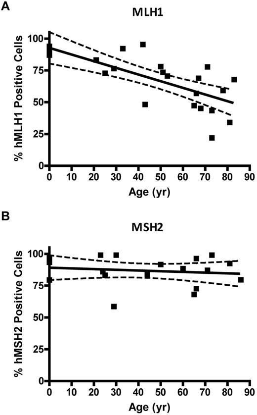 Figure 4. MLH1 but not MSH2 protein is lost in individual CD34+ cells with age. (A) Percent of MLH1-positive stained CD34+ cells versus donor age (P = .0001). (B) Percentage of MSH2-positive stained CD34+ cells versus donor age (P = .55). Solid lines represent the best fit linear regression, and dashed lines signify a 95% confidence interval.