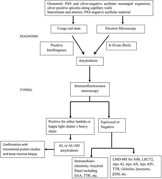 Figure 3. Algorithm for diagnosis and typing of renal amyloidosis used at the Mayo Clinic. Diagnosis and typing in renal amyloidosis.