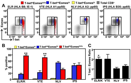 Figure 1. Differential expression of the transcription factors T-bet and Eomes in CMV-specific T cells. PBMCs from CMV-seropositive donors were incubated for 5 hours with cognate peptide epitopes, labeled with anti-CD8, and then assessed for intracellular expression of IFN-γ, T-bet, and Eomes. (A) Representative analysis of T-bet and Eomes expression in ELR/K-, VTE-, NLV-, and IPS-specific IFN-γ–producing cells is shown as an overlay of total CD8+ T cells. (B) Data represent the mean ± SEM of the proportion of CMV-specific T-cell populations displaying a T-betloEomeshi, T-betintEomeshi, or a T-bethi phenotype. Data represent analysis from at least 6 donors for each peptide tested. (C) Data represent the mean ± SEM of the ratio of mean fluorescent intensity of T-bet: mean fluorescent intensity of Eomes in different CMV-specific T-cell populations.