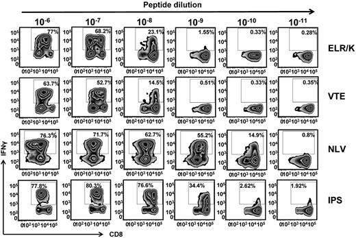 Figure 3. Functional avidity of CMV-specific T cells. CMV-specific T cells were incubated for 5 hours with 10-fold serial dilution of cognate peptide epitopes. IFN-γ expression was then assessed using an intracellular cytokine assay. Representative flow cytometric analysis after stimulation of ELR/K, VTE, NLV, or IPS-specific T cells with serial dilutions of cognate peptide.