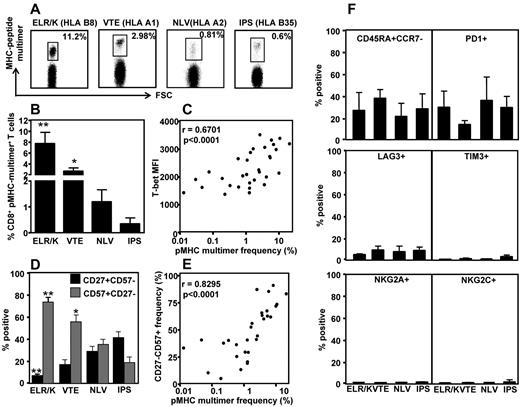 Figure 4. Correlation between CMV epitope-specific T-cell frequency, T-bet expression, and CD27/CD57 expression by CMV-specific T cells. PBMCs from CMV-seropositive donors were stained with CMV-specific pMHC multimers, followed by fluorescently labeled anti-CD8-, CD27-, and CD57-specific antibodies. (A) Representation multimer analysis from 4 donors. (B) Data represent the mean ± SEM of pMHC multimer-specific CD8+ T cells in HLA-matched PBMCs. (C) Data represent the correlation between the frequency of pMHC multimer-specific cells and T-bet mean fluorescent intensity. (D) Data represent the mean ± SEM of epitope-specific T cells displaying either an early memory (CD27+CD57−) or late/terminal (CD27−CD57+) phenotype. (E) Data represent the correlation between the frequency of pMHC multimer-specific cells and the proportion of those cells expressing a late/terminal (CD8+CD27−CD57+) memory phenotype. (F) PBMCs from CMV-seropositive donors were stained with CMV-specific pMHC multimers, followed by fluorescently labeled anti-CD8, CD45RA, CCR7, PD1, LAG3, TIM3, NKG2A and NKG2C antibodies.