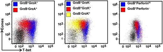 Figure 5. Differential expression of the effector molecules perforin and granzymes A, B, and K in CD8+ T cells correlates with the intensity of T-bet expression. PBMCs from a CMV-seropositive donor were stained with anti-CD8 and then assessed for the intracellular expression of T-bet, Eomes, granzymes A, B, and K, and perforin. Representative analysis of T-bet and Eomes expression in granzyme A, B, and K and perforin-producing cells is shown as an overlay of total CD8+ T cells.