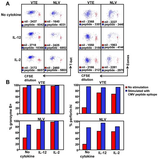 Figure 7. Induction of T-bet expression correlates with the transition to a granzyme B+perforinhi phenotype. (A) PBMCs from HLA A1 and HLA A2 donors were labeled with CFSE and then cultured with and without VTE or NLV for 5 days in the presence of IL-2, IL-12, or no cytokine. T-bet and Eomes expression in antigen-specific T cells was assessed as outlined in “Methods.” Data represent the mean fluorescence intensity of T-bet (left panel) or Eomes (right panel) expression in antigen-specific T cells stimulated with cognate peptide (blue) or incubated for 5 days without stimulation (red). (B) VTE- and NLV-specific T cells stimulated for 5 days with cognate peptide with and without cytokine were assessed for the expression of granzyme B and perforin. Data represent the proportion of granzyme B+ and perforinhi VTE and NLV-specific T cells, following in vitro culture with and without peptide.