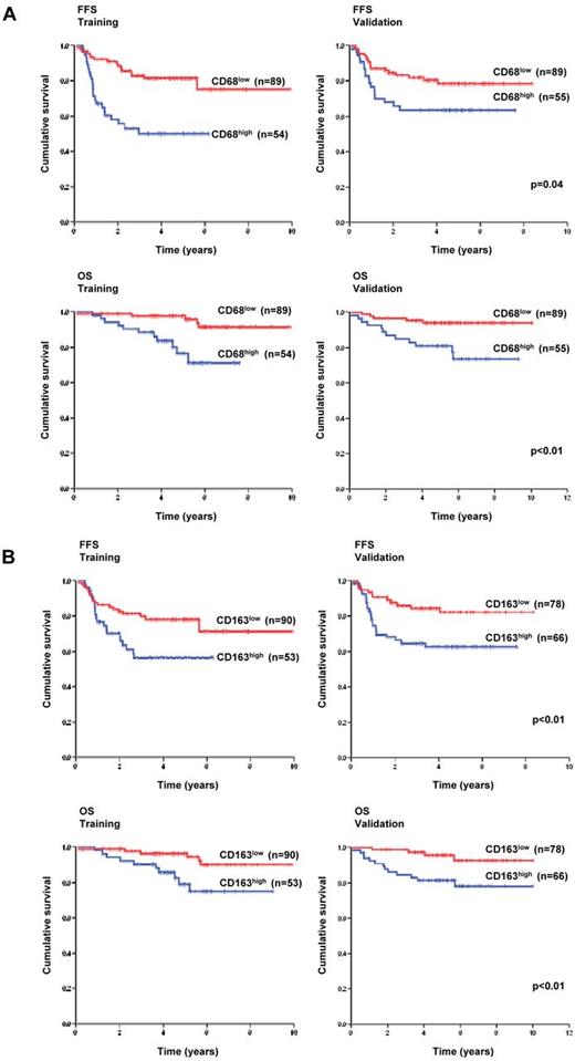 Figure 2. Survival analysis based on macrophage content. (A) CD68 and (B) CD163 IHC expression and survival in training and validation cohorts.