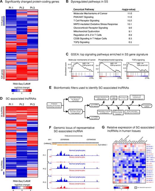 Figure 2. RNA-Seq in SS identities dysregulated cancer pathways and SC-associated IncRNAs. (A) Heat map of differentially expressed protein-coding genes. The expression of 2989 genes changed significantly in SC compared to patient-matched control cells (P < .05). Of these, 525 were commonly up-regulated and 519 were commonly down-regulated. (B) Significantly dysregulated pathways in SS. Canonical pathway analysis was performed with IPA using genes that changed significantly in all 3 patients. The significance of the association between this dataset and the canonical pathway shown was measured by Fisher's exact test. (C) Gene set enrichment analysis. GSEA plots depict concordance between significantly changed genes in SS and the molecular mechanisms of cancer canonical pathway from IPA (left), phosphatidylinositol signaling pathway (middle), and TGFβ signaling (right). NES, normalized enrichment score; FDR q-val, false discovery rate q-value (the probability that a gene set with a given NES represents a false-positive finding). (D) Heat map of differentially expressed IncRNAs. 35 were commonly up-regulated and 50 were commonly down-regulated. (E) Graphical representation of the bioinfomatic filters used to identify SC-associated IncRNAs. Expressed RefSeq transcripts annotated as noncoding were compiled with non-redundant, noncoding Gencode transcripts to assemble a merged SS noncoding transcriptome and the filters noted were applied. (F) Genomic locus of AL513543.1, a noncoding transcript that is down-regulated in the SC of all 3 patients. Histograms have been normalized to account for differences in the number of reads per library. (G) Relative expression of 21 SC-associated IncRNAs across RNA-Seq human tissue datasets normalized to average RPKM in polyclonal CD4+ T-cells. Gray boxes indicate no detectable expression. Name color indicates directionality of expression change in SC (red = increased, blue = decreased).