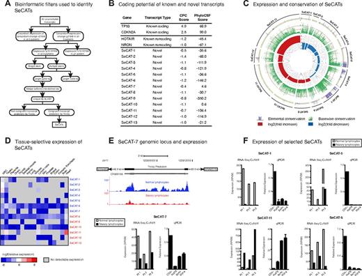 Figure 3. RNA-Seq in SS identifies novel Sézary cell-associated transcripts. (A) Graphical representation of the bioinformatic filters used to identify SeCATs. Previously unannotated transcripts were filtered by the pipeline shown to identify 13 candidates that met the criteria noted. (B) Coding potential of known and novel transcripts. Coding potential was measured using the CPC as well as PhyloCFS for 13 novel transcripts. The scores for selected canonical annotated protein-coding and noncoding transcripts are also shown for reference. (C) Expression and conservation of SeCATs. Elemental phastCons conservation across a given transcript (purple; interval between 0 and 0.2 is shaded in yellow, scores > 0.2 are considered conserved), basewise phyloP conservation (green; orange lines = S.D. > average genomic phyloP score), and expression log2 fold change (red = increase, blue = decrease) for 13 SeCATs. Each line on the outside of the circle depicts a SeCAT transcript and is drawn to scale; for reference, the transcript length of SeCAT-10 is 1.1 kb. (D) Relative expression of 13 SeCATs across RNA-Seq human tissue datasets normalized to average RPKM in polyclonal CD4+ T-cells. Gray boxes indicate no detectable expression. Name color indicates directionality of expression change in SC (red = increased, blue = decreased). (E) Genomic locus of SeCAT-7, a novel transcript that is down-regulated in the SC of all 3 patients. Histograms for 1 representative patient have been normalized to account for differences in the number or reads per library (top). The transcript structure predicted by Trinity as well as an unstudied cDNA clone with predicted coding potential and closest flanking genes are shown. Expression levels of SeCAT-7 in normal lymphocytes and SC in each of the 3 patients sequenced. Expression is shown as RPKM and calculated by Scripture (bottom left). Expression of SeCAT-7 by qPCR in CTCL cell lines (bottom right). The average value of CD4+ T-cells from 3 normal donors was used as control. (F) Expression levels of SeCAT-1, 5, 6, and 11 in normal lymphocytes and SC in each of the 3 patients sequenced is shown as RPKM and calculated by Scripture. Expression of SeCAT-1, 5, 6, and 11 is also demonstrated by qPCR in CTCL cell lines. The average value of CD4+ T-cells from 3 normal donors was used as control.