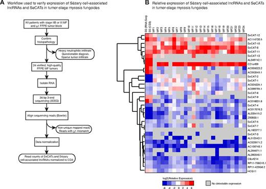 Figure 4. Validation of SC-associated IncRNAs and SeCATs in MF. (A) Schematic of experimental design. The 3' ends of polyadenylated transcripts from 24 high-quality FFPE MF tumor specimens were sequenced by 3SEQ. Sequence reads were aligned to the genome and filtered by the pipeline shown. (B) Relative expression of 21 SC-associated IncRNAs and 13 SeCATs across 24 MF tumors normalized to average CD3 read count and then compared to its average expression relative to CD3 in polyclonal CD4+ T-cells from SS patients; average expression of SC-associated IncRNAs and SeCATs in SS normalized to their expression in patient-matched polyclonal CD4+ T-cells (RNA-Seq) as well as to CD3 is also shown. Gray boxes indicate no detectable expression.
