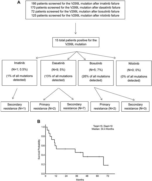 Figure 1. Outcome of patients with V299L mutation. (A) Development of resistance after V299L detection. (B) Overall survival after detection of the V299L mutation in patients treated with prior TKI therapy.