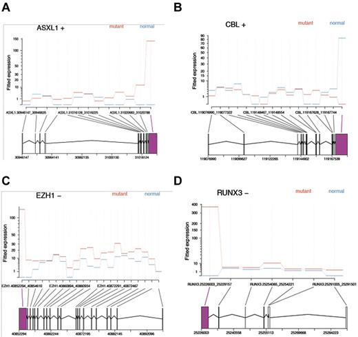 Figure 3. RNA-Seq analysis shows differential exon usage of MDS-related genes. (A-D) A total of 81 564 exons were tested in 9069 genes for differential exon usage between normal and mutant groups. A total of 48 835 exons were excluded, being not testable or present in genes with less than 2 testable exons. A total of 423 exons from 350 genes were found to be differentially used at the 0.05 false discovery rate level (ie, adjusted P < .05; Table 2 shows the complete list). A total of 282 of these 423 exons (67%) had higher usage in the mutant group relative to a healthy person. A total of 56 genes contained more than one significant exon. Screenshots of fitted exon counts indicate that 4 genes, specifically ASXL1, CBL, EZH1, and RUNX3, contained at least 1 exon showing differential usage between SF3B1 mutants (red) and normals (blue). Positive (+) and negative (−) signs indicate the strand, giving the 3′ and 5′ ends of the gene. Area in magenta represents the differentially used exon.