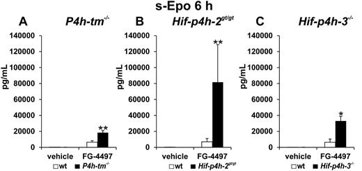 Figure 2. Effect of a single FG-4497 dose on serum Epo concentration in P4h-tm null, Hif-p4h-2 hypomorphic, and Hif-p4h-3 null mice. The P4h-tm−/− (A), Hif-p4h-2gt/gt (B), Hif-p4h-3−/− (C), and wild-type mice received a single oral dose of FG-4497 (100 mg/kg), and serum Epo concentration was analyzed after 6 hours. Statistical significance is shown only for the comparison of the values between the FG-4497–treated gene-modified and wild-type mice (*P = .02, **P < .005). The values in the vehicle-treated wild-type and gene-modified mice were less than 3% of those in the FG-4497–treated wild-type mice. In (A) n = 3 for the 2 vehicle-treated groups, n = 7 for the FG-4497–treated wild-type mice and n = 5 for the FG-4497–treated null mice, in (B) n = 3 for each group, and in (C) n = 2 for the 2 vehicle-treated groups and n = 3 for the 2 FG-4497–treated groups. Error bars represent SEM.