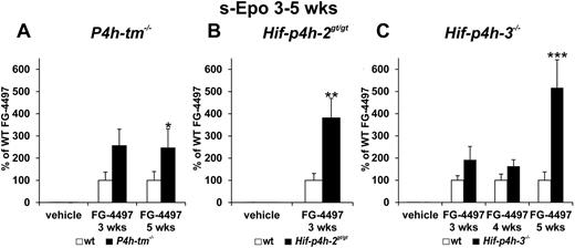 Figure 3. Effect of repeated FG-4497 doses on serum Epo concentration in P4h-tm null, Hif-p4h-2 hypomorphic, and Hif-p4h-3 null mice. The P4h-tm−/− (A), Hif-p4h-2gt/gt (B), and Hif-p4h-3−/− (C) mice and wild-type mice received 3 oral doses of FG-4497 (100 mg/kg) per week for 3 to 5 weeks and were killed 6 hours after the last dose. Statistical significance is shown only for the comparison of the values between the FG-4497–treated gene-modified and wild-type mice, the means of the latter being taken as 100% (*P < .05, **P < .01, ***P < .0001). There are no significant differences between the values for the vehicle-treated gene-modified and wild-type mice in panels A through C, whereas the differences between the values for the FG-4497–treated and vehicle-treated mice are highly significant in panels A through C. In panel A, n = 5 for all groups at 3 weeks, n = 13 for the FG-4497–treated wild-type mice and n = 6 for the FG-4497–treated P4h-tm−/− mice at 5 weeks; in panel B n = 6-8 for all groups; and in panel C n = 4 for each group at 3 weeks, n = 5 and n = 16-18 for the 2 FG-4497–treated groups at 4 and 5 weeks, respectively. Error bars represent SEM.