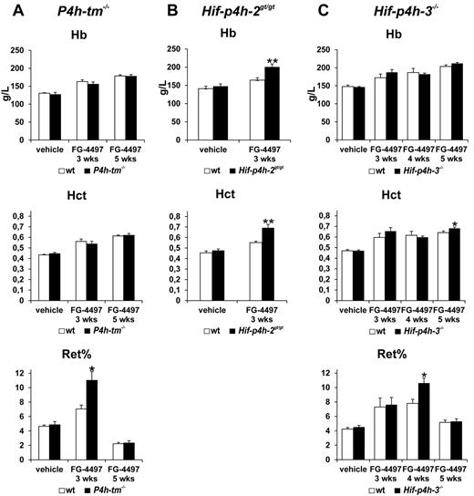 Figure 5. Effect of FG-4497 on blood hemoglobin, hematocrit, and reticulocyte values in P4h-tm null, Hif-p4h-2 hypomorphic, and Hif-p4h-3 null mice. The P4h-tm−/− (A), Hif-p4h-2gt/gt (B), and Hif-p4h-3−/− (C) mice and wild-type mice received 3 oral doses of FG-4497 (100 mg/kg) per week for 3 to 5 weeks and were killed 6 hours after the last dose. Statistical significance is shown only for the comparison of the values between the FG-4497–treated gene-modified and wild-type mice (*P < .02 for reticulocytes in panel A and C, P = .05 for hematocrit in panel C, **P < .005). The differences between the values for the FG-4497–treated and vehicle-treated mice are significant or highly significant for all hemoglobin and hematocrit values in panels A through C as follows. Comparison of FG-4497–treated wild-type mice with vehicle-treated wild-type mice: in panel A hemoglobin and hematocrit at 3 and 5 weeks P < .001; in panel B hemoglobin P < .05, hematocrit P < .001; in panel C hemoglobin at 3 weeks P = .056, at 4 weeks P < .02 and at 5 weeks P < .001, hematocrit at 3 weeks P < .005 and at 4 and 5 weeks P < .001; comparison of FG-4497–treated gene-modified mice with vehicle-treated gene-modified mice: (A) hemoglobin and hematocrit at 3 weeks P < .02, at 5 weeks P < .001; (B) hemoglobin and hematocrit P < .001; (C) hemoglobin and hematocrit at 3 weeks P < .005 and at 4 and 5 weeks P < .001. Similar comparisons of reticulocyte values are as follows. Comparison of FG-4497–treated wild-type mice with vehicle-treated wild-type mice: in panel A at 3 weeks P < .005, in panel C at 3 weeks P < .05 and at 4 weeks P < .001; comparison of FG-4497–treated gene-modified mice with vehicle-treated gene-modified mice in panel A at 3 weeks P < .002, in panel C at 3 weeks P < .05 and at 4 weeks P < .001. There are no significant differences between the values for the vehicle-treated gene-modified and wild-type mice in panels A through C. Values of n as in Figure 3. Error bars represent SEM.