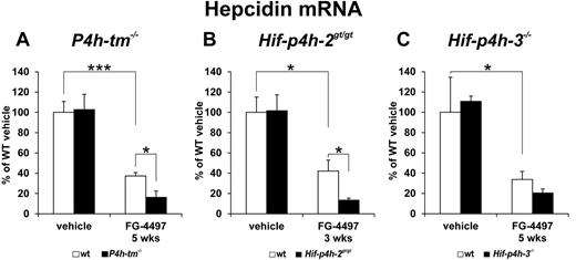 Figure 6. Effect of FG-4497 on hepatic Hepcidin mRNA level in P4h-tm null, Hif-p4h-2 hypomorphic, and Hif-p4h-3 null mice. The P4h-tm−/− (A), Hif-p4h-2gt/gt (B), and Hif-p4h-3−/− (C) mice and wild-type mice received 3 oral doses of FG-4497 (100 mg/kg) per week for (B) 3 or (A-C) 5 weeks and were killed 6 hours after the last dose. Statistical significance is shown for comparisons between the values for the vehicle-treated and FG-4497–treated wild-type mice, the means of the former being taken as 100%, and for comparisons between the FG-4497–treated gene-modified and wild-type mice (*P < .05, ***P < .0001). There are no significant differences between the values for the vehicle-treated gene-modified and wild-type mice in panels A through C. Values of n as in Figure 3. Error bars represent SEM.