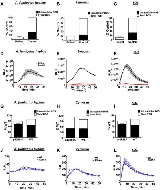 Figure 1. Oxidant production in human and murine neutrophils with defects in p40phox. Neutrophils from the patient with NCF4 mutations showed substantial decreases in both total and intracellular oxidant responses when challenged with heat-killed A fumigatus hyphal particles (A), Zymosan (B), or SOZ (C) compared to healthy controls. Contrary to human neutrophil data, p40phoxR58A/R58A mouse neutrophils show a robust total and intracellular oxidant burst to these agonists (heat-killed A fumigatus hyphae (G), Zymosan (H) and SOZ (I)). Intracellular ROS response kinetics for human neutrophils are presented in panels D through F and murine intracellular response kinetics presented in panels J through L. Oxidant production by human or murine neutrophils was determined in 96-well plates using 125μM Luminol (total extracellular and intracellular) and Luminol with superoxide dismutase (SOD; 225 U/mL; intracellular). After addition of fungal agonists, chemiluminescence was recorded over 50 minutes in a SpectrMax L Luminometer. All experiments were performed in at least duplicates (±SD). Data shown are the total integrated relative light units (RLU) expressed as % of control (N = 2-3 independent experiments) or the RLU over time from a representative experiment.