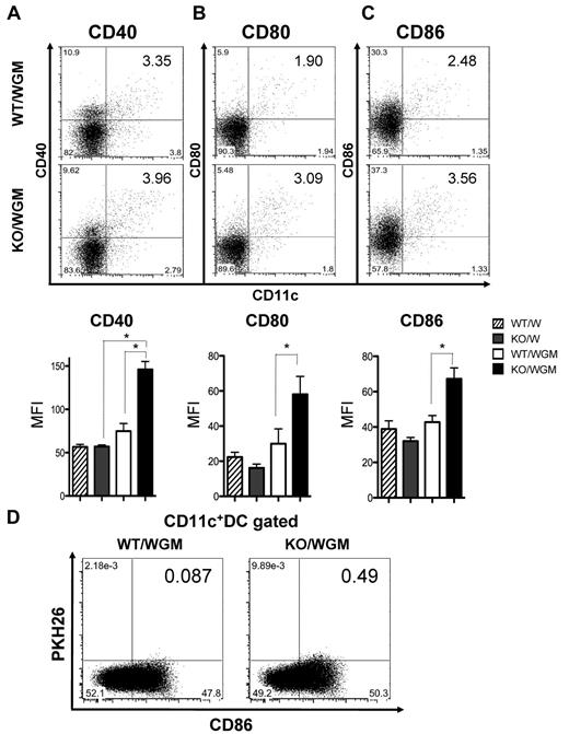 Figure 3. Absence of LTB4/BLT1 axis enhances maturation of DCs and recruitment of TAA-phagocytosed DCs into TDLNs in KO/WGM mice in early phase. Two left axillary TDLNs were harvested from WT/W, KO/W, WT/WGM, or KO/WGM mice on day 2 (CD80 and CD86) or day 4 (CD40) after the tumor challenge (n = 3-5 per group). Data are representative dot plots (top panel) and the averages of mean fluorescence intensity (bottom panel) for CD11c+ cells expressing the following markers of (A) CD40, (B) CD80, or (C) CD86 in TDLNs harvested from 4 indicated experimental groups. Bar graphs represent mean ± SEM. *Significant difference (P < .05). (D) Migration of DCs that had phagocytosed TAAs to TDLNs in WT/WGM or KO/WGM mice on day 2 after the subcutaneous inoculation with PKH26-labeled WGM cells. Numbers in 2-dimensional dot plots reflect the positive ratio of PKH26+CD86+ cells relative to total CD11c+ cells. Representative data from at least 3 independent experiments with similar results are shown.