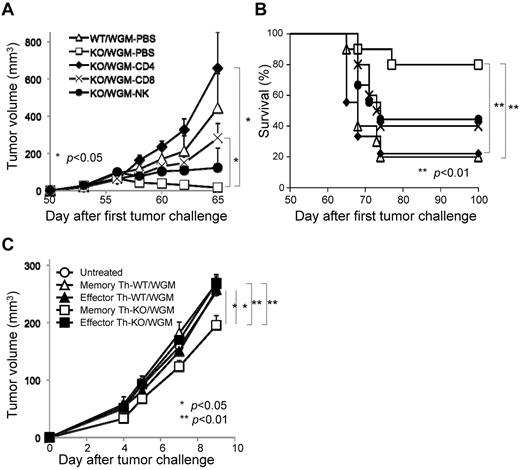 Figure 6. CD4+ T cells mainly mediate the remarkable rejection of second tumor challenge with WEHI3B cells where memory CD44hiCD4+ T subset has an antitumor phenotype on adoptive cell transfer. All mice that had completely rejected the FTC with WGM cells were then subcutaneously inoculated with the STC on day 50 after the FTC, as described in Figure 1 (n = 4-6). For depletion of CD4+ and CD8+ T cells, mice received repeated intraperitoneal injections of anti–mouse-CD4 mAb or anti–mouse-CD8 mAb on days 3, 4, and 5 before the day of the STC and once every 3 days thereafter up to 13 times. For depletion of NK cells, mice received repeated intraperitoneal injections of rabbit anti-asialo GM1 antiserum 1 day before and 7 and 14 days after the STC. (A) Tumor volume was monitored and (B) a survival curve of the mice groups was examined. (C) For CD4+ T-cell ACT therapy, 5 × 105 CD4+CD44low or CD4+CD44hi T cells harvested from spleen of WT/WGM or KO/WGM mice were flow cytometrically sorted on day 3 after the STC and intravenously injected into recipient syngeneic BLAB/c mice (n = 4-6). On the next day, they received subcutaneous challenge with 2 × 105 parental WEHI3B cells in the right flank. Bar graphs represent mean ± SEM. Significant differences: *P < .05, **P < .01. Representative or combined data from 2 independent experiments with similar results are shown.
