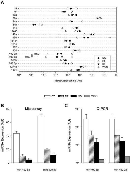 Figure 3. Cellular and cohort-specific miRNA expression. (A) Quantitative RT-PCR was used to quantify miRNA expression patterns in leukocytes (WBC), normal platelets, or thrombocytosis (ET or RT), displayed by group mean (N = 5 samples/group). The threshold sensitivity of miR 490 3p and 5p assays is delineated by boundaries of the stippled box. (B-C) Normalized aggregate expression data for miR 490 3p and miR 490 5p are displayed for microarray (B; N = 79) or quantitative RT-PCR data (C; N = 10/group). Data are presented as the mean ± SEM.