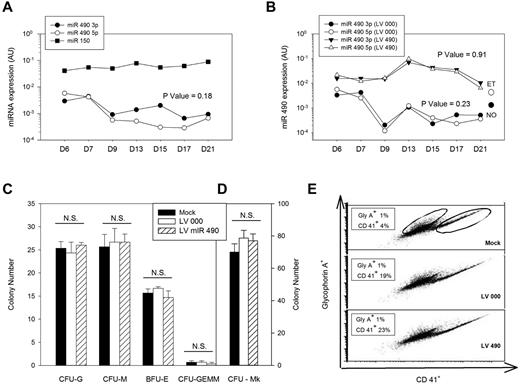 Figure 4. Genetic and functional characterization of miR 490. (A) Endogenous miR 490 expression patterns were monitored by quantitative RT-PCR using CD34+ cells differentiated in vitro over 21 days using a bilineage culture system; miR 150 expression is shown for comparison. (B-E) CD34+ cells transduced with lentiviruses LV 000 or LV490 were puromycin-selected (or not for mock-treated controls) and used for monitoring miR 490 expression patterns over a 21-day period (B); expression values for normal (NO) and ET platelets are shown for comparison. Hematopoietic progenitor assays were completed at day 14 after lentivirus infection (C), megakaryocyte colony assays on day 10 after infection (D), and megakaryocyte/erythroid lineage specification was analyzed at day 7 after infection by flow cytometry using anti-CD41 (Mk marker) or anti-glycophorin A (erythroid) antibodies for quantification (displayed in boxes; E). All results are from a single representative experiment repeated on one occasion. (A-B) P values were calculated by paired t test comparing aggregate miR 490 3p and miR 490 5p time series data.