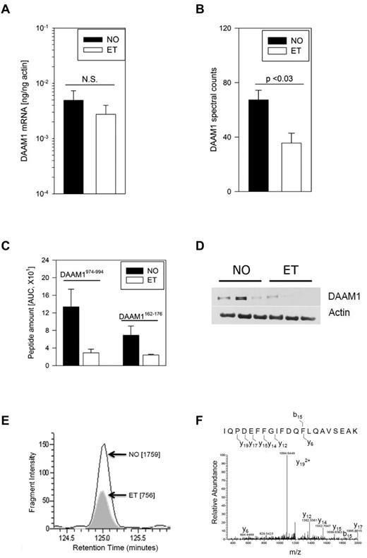 Figure 6. Characterization of disheveled-associated activator of morphogenesis 1 in platelets. (A) DAAM1 quantitative RT-PCR was completed using ET or normal platelets (N = 5/group). (B) Normalized DAAM1-specific spectral counts from MudPit analyses are expressed as the mean ± SEM from 3 normal and 3 ET subjects. (C) DAAM1 peptide abundance was quantified between cohorts for each of 2 peptides and expressed as the mean ± SEM (N = 3/cohort). (D) Immunoblot analysis was completed using 4%-15% SDS-PAGE for each of 6 platelet lysates. (E) Quantitative multiple reaction monitoring from one normal and one ET platelet sample is displayed as the area under the curve (in parentheses) of the m/z 1215.8 transition to its doubly charged Y19 ion. (F) MS/MS spectra of the DAAM1 peptide IQPDEFFGIFDQFLQAVSEAK specifies the fragmentation and Y19 ion(s) used for abundance quantification.