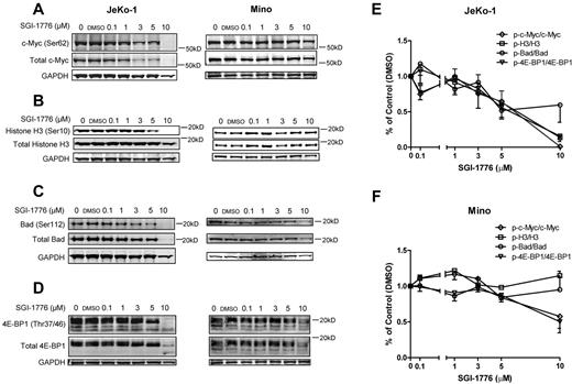 Figure 3. Effects of SGI-1776 treatment on Pim kinases targets. Effect of SGI-1776 on phospho–c-Myc (Ser62) and total c-Myc (A) phospho-Histone H3 (Ser10) and total Histone H3 (B), phospho-Bad (Ser112) and total Bad (C), and phospho–4E-BP1(Thr37/46) and total 4E-BP1 (D) protein expressions. JeKo-1 and Mino cell were treated with 0.1, 1, 3, 5, or 10μM SGI-1776 for 24 hours, and then cell lysates were analyzed via immunoblot. Quantitation of immunoblots with phosphorylation targets (c-Myc, Histone H3, Bad, and 4E-BP1) is shown in panel E for JeKo-1 cells and in panel F for Mino cells. Phospho-to-total protein ratios were calculated, and data are presented as means of 3 independent experiments ± SEM.