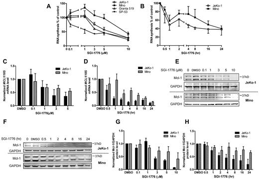 Figure 4. Reduction of global RNA synthesis and Mcl-1 mRNA and protein expression in MCL cell lines by SGI-1776. (A) Dose-dependent effects of SGI-1776 treatment on global transcription level in JeKo-1, Mino, Granta 519, and SP-53 cells. Cells were treated with DMSO alone or with 0.1, 1, 3, 5, or 10μM SGI-1776 for 24 hours and then incubated with uridine for 30 minutes, and radioactive incorporation was measured via scintillation counter. (B) Time-dependent effects of SGI-1776 treatment on global transcription level in JeKo-1 and Mino cells. Cells were treated with DMSO alone or with 10μM SGI-1776 for 0.5, 1, 2, 4, 8, 16, or 24 hours and then prepared for uridine incorporation as described in panel A. Dose-dependent (C) and time-dependent (D) effects of SGI-1776 on MCL1 mRNA expressions in JeKo-1 and Mino cells. Cells were treated with SGI-1776 in dose-dependent or time-dependent manner as mentioned in Panels A and B, and RNA was isolated and analyzed using real-time RT-PCR. Impact of SGI-1776 in dose-dependent (E) and time-dependent (F) treatments on Mcl-1 protein expression in JeKo-1 and Mino cells. Mcl-1 protein expression was measured by immunoblots in both dose- and time-dependent SGI-1776 treatments (see panels A and B) of JeKo-1 and Mino cells. Quantitation of immunoblot with dose-dependent SGI-1776 treatment in JeKo-1 (G) and Mino (H) cells. Mcl-1-to-GAPDH ratio was calculated, and data are presented as means of 3 independent experiments ± SEM.