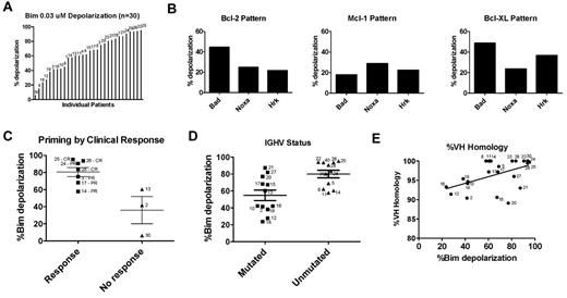 Figure 1. CLL cells are highly primed for apoptosis and usually BCL-2 dependent, and increased priming is associated with improved clinical response and unmutated IGHV. (A) PB CLL cells were BH3 profiled by FACS (n = 30) and the level of apoptotic priming for each sample was measured by quantifying the mitochondrial depolarization induced by the BIM BH3 peptide at a 0.03μM final concentration. Patient number, as detailed in supplemental Table 1, is depicted above each corresponding level of priming. (B) Examples of BH3 profiles from 3 individual patients showing pattern of relative dependence on BCL-2, MCL-1, and BCL-XL (see supplemental Table 1 for complete depolarization data for each patient by peptide). (C) Pretreatment samples from treatment-naive patients achieving a partial response (PR) or complete response (CR) by International Workshop on Chronic Lymphocytic Leukemia 2008 criteria are more primed than samples from patients with progressive disease during or within 6 months of completing frontline CLL therapy (P = .0333). (D) BH3 profiling shows that patients with unmutated IGHV status (n = 11) are significantly more primed than patients with mutated IGHV status (n = 12; P = .0074). (E) Percentage of VH homology to germline is positively correlated with level of priming (P = .0020; Spearman r: 0.480).