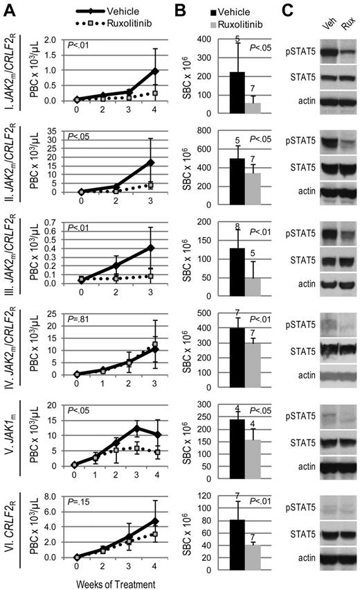Figure 1. Efficacy of ruxolitinib in xenograft models of Ph-like ALL. Genetic lesions are indicated to the left of each row. (A) Peripheral blast count (PBC) over time in JAK-mutated (JAKm) or wild-type (JAKwt) and CRLF2-rearranged (CRLF2R) or nonrearranged (CRLF2NR) ALL xenografts. Graphed are means and SDs with PBC × 103 per microliter on the vertical axis and weeks of treatment on the horizontal axis; n indicated in panel B. (B) Splenic blast count (SBC) at sacrifice. Means and SDs are graphed with the vertical axis representing absolute SBC × 106; n for each arm indicated above bar. (C) Levels of phosphorylated STAT5 (pSTAT5) by immunoblot. Xenografts were treated with ruxolitinib (rux) or vehicle (veh) for 72 hours, spleens were harvested, and protein lysates subjected to immunoblot for pSTAT5, total STAT5, and actin.