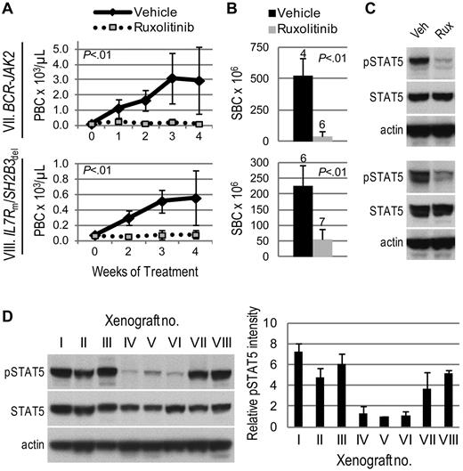 Figure 2. Activity of ruxolitinib in ALL xenografts with JAK/STAT pathway activation. Genetic lesions are indicated to the left of each row. (A) Peripheral blast count (PBC) over time. Graphed are means and SDs with PBC × 103 per microliter on the vertical axis and weeks of treatment on the horizontal axis; n indicated in panel B. (B) Splenic blast count (SBC) at sacrifice. Means and SDs are graphed with the vertical axis representing absolute SBC × 106; n for each arm indicated above bar. (C) Levels of phosphorylated STAT5 (pSTAT5) by immunoblot. Xenografts were treated with ruxolitinib (rux) or vehicle (veh) for 72 hours, spleens were harvested, and protein lysates subjected to immunoblot for pSTAT5, total STAT5, and actin. (D) Comparison of basal levels of pSTAT5 in vehicle-treated xenografts. A representative immunoblot for pSTAT5, total STAT5, and actin is shown on the left, and quantitation of pSTAT5 signal intensity (normalized to actin signal intensity and graphed relative to xenograft V) in 3 vehicle-treated xenografts is shown on the right.