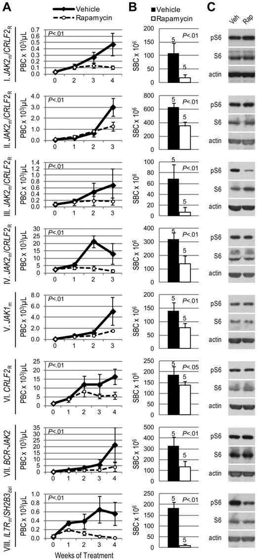 Figure 3. Efficacy of rapamycin in xenograft models of Ph-like ALL. Genetic lesions are indicated to the left of each row. (A) Peripheral blast count (PBC) over time in ALL xenografts. Graphed are means and SDs with PBC × 103 per microliter on the vertical axis and weeks of treatment on the horizontal axis; n indicated in panel B. (B) Splenic blast count (SBC) at sacrifice. Means and SDs are graphed with the vertical axis representing absolute SBC × 106; n for each arm indicated above bar. (C) Levels of phosphorylated ribosomal protein S6 (pS6) by immunoblot. Xenografts were treated with rapamycin (rap) or vehicle (veh) for 72 hours, spleens were harvested, and protein lysates subjected to immunoblot for pS6, total S6, and actin.