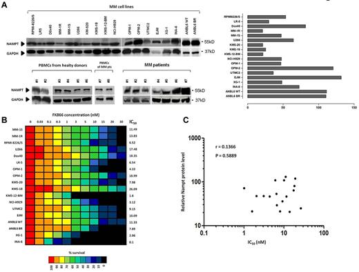 Figure 1. Nampt as therapeutic target in MM cells. (A) Expression of Nampt in multiple myeloma (MM) cell lines, patient MM CD138+ cells, and peripheral blood mononuclear cells (PBMCs) from healthy donors or MM patients. Whole-cell lysates were subjected to immunoblotting with anti-Nampt antibody. Anti-GAPDH monoclonal antibody served as a loading control. Relative expression in MM cell lines was calculated as the ratio of the densitometry signal for Nampt relative to GAPDH in each sample using ImageJ Version 1.37 software (National Institutes of Health, http://rsb.info.nih.gov/ij/). (B) Dose-response effect in 18 human MM cell lines treated with FK866 (0-30nM for 96 hours). The percentage survival (expressed as percentage of the vehicle-treated control) is visualized in color format according to their values on a linear scale (0%-100%). Data presented are means ± SD of 3 experiments. (C) Relative expression of Nampt protein plotted versus 96h Fk866 cytotoxicity IC50 values. The Pearson correlation coefficient (r) and the P value, calculated using GraphPad Prism Version 5 analysis software are indicated.