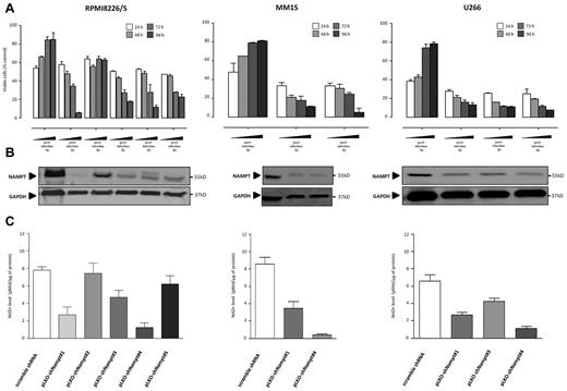Figure 3. Effect of Nampt stable knockdown on MM cells. (A) RPMI-8226/S, MM-1S, and U266 cells were infected with either control scrambled or 5 independent lentiviral constructs expressing shRNAs targeting Nampt (RPMI8226/S: no. 1, no. 2, no. 3, no. 4, and no. 5; MM1S: no. 1 and no. 4; U266: no. 1, no. 3, and no. 4). The effect of Nampt knockdown on cell viability was assessed by MTT analysis and presented as the percentage of control cells. Data represent mean ± SD of 2 independent experiments carried out in triplicate. (B) Four days after infection, cell lysates were subjected to Western blot analysis to assess Nampt protein expression. (C) The effect of Nampt knockdown on intracellular NAD+ level in MM cells infected with shRNAs (scramble or targeting Nampt) was assessed by enzyme cyclic assay and normalized to protein concentrations. Cells were analyzed 5 days after transduction.