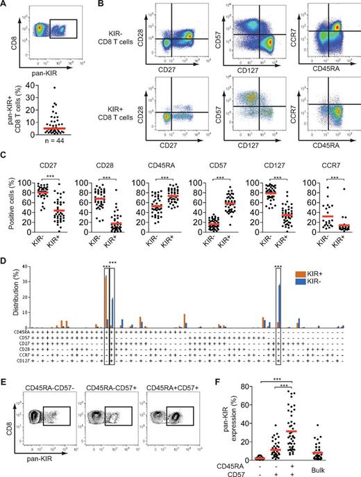 Figure 1. KIR+ CD8 T cells are terminally differentiated cells. (A) Staining for total inhibitory KIR (hereafter termed pan-KIR) made with 4 mAbs specific for KIR2DL1, KIR2DL3, KIR3DL1, and KIR3DL2 on CD8 T cells from 1 representative individual (top) and frequency of pan-KIR+ CD8 T cells (bottom; n = 44; median). (B) Staining for CD27, CD28, CD57, CD127, CD45RA, and CCR7 on pan-KIR− and pan-KIR+ CD8 T cells from 1 representative individual. (C) Expression of CD27, CD28, CD45RA, CD57, CD127, and CCR7 on pan-KIR− and pan-KIR+ CD8 T cells (n = 39, 44, 43, 44, 44, and 21, respectively; ***P < .001, paired Student t test; mean). (D) Distribution of pan-KIR+ and pan-KIR− CD8 T cells for expression of CD45RA, CD57, CD27, CD28, CCR7, and CD127 as defined by a Boolean gating scheme (n = 19; ***P < .001, 1-way ANOVA with Bonferroni multiple comparison test; mean ± SEM). (E) Staining for pan-KIR on CD45RA−CD57−, CD45RA−CD57+, and CD45RA+CD57+ CD8 T cells from 1 representative individual. (F) Pan-KIR expression on CD45RA−CD57−, CD45RA−CD57+, CD45RA+CD57+, and total CD8 T cells (n = 43; ***P < .001, 1-way ANOVA with Bonferroni multiple comparison test; mean).