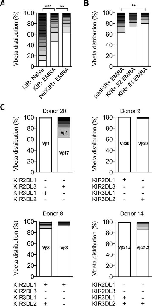 Figure 2. KIR+ CD8 T cells display a restricted TCR Vβ chain repertoire. The distribution of 24 specific TCR Vβ chains were analyzed in distinct CD8 T-cell subsets in samples from 20 individuals homozygous for the group A KIR haplotype. (A) TCR Vβ chain distribution in KIR− CD45RA+CD27+CD57− (Naïve), KIR− CD45RA+CD27−CD57+ (EMRA), and panKIR+ CD45RA+CD27−CD57+ (EMRA) CD8 T cells summarized for all analyzed individuals. (B) TCR Vβ chain distribution in panKIR+ CD45RA+CD27−CD57+ (EMRA) CD8 T cells and within the largest (KIR+ 1) and second largest (KIR+ 2) KIR-expressing subsets of CD45RA+CD27−CD57+ (EMRA) CD8 T cells summarized for all analyzed individuals. (A-B) ***P < .001, **P < .01, paired t test. (C) TCR Vβ chain repertoires of the 2 largest KIR-expressing subsets of CD45RA+CD27−CD57+ CD8 T cells shown for 4 representative individuals. The dominant TCR Vβ chains are indicated in the respective bar graphs.