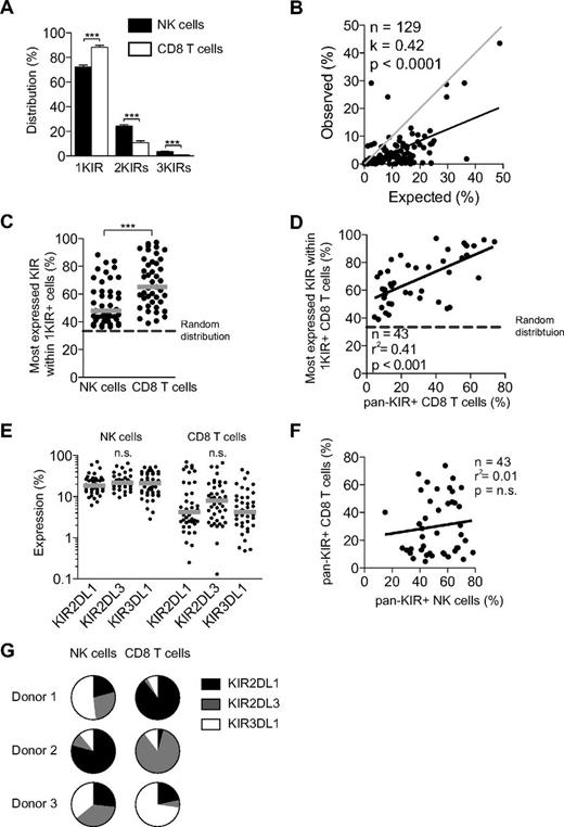 Figure 3. CD8 T cells express a single dominant KIR (1 KIR+ cells) often distinct from that of NK cells in the same individual. (A) Distribution of KIR2DL1-, KIR2DL3-, and KIR3DL1-expressing NK cells and CD45RA+CD57+ CD8 T cells within cells expressing 1-3 KIRs (n = 43; ***P < .001, 1-way ANOVA with Bonferroni multiple comparison test; mean ± SEM). The gating strategy used to identify NK cells included gating on CD56dim+CD3−CD14− lymphocytes after having excluded dead cells and double events. (B) The observed frequencies of CD45RA+CD57+ CD8 T cells coexpressing 2 KIRs (KIR2DL1 + KIR2DL3, KIR2DL1 + KIR3DL1, KIR2DL3 + KIR3DL1) is plotted against those given by the product of the expression frequencies for the respective KIRs. Results are shown as frequency out of total KIR-expressing cells. A perfect fit to the product rule appears as a gray line, illustrating a 1:1 relation between observed and expected frequencies. K values were derived from the slope of the linear regression of observed data relative to a perfect fit with the product rule. P values were derived from a linear regression analysis. (C) Frequency of the most expressed KIR, out of KIR2DL1, KIR2DL3, and KIR3DL1, within 1-KIR+ cells as the frequency out of total 1 KIR+ cell for NK cells and CD45RA+CD57+ CD8 T cells (n = 43; ***P < .001, paired Student t test; median). (D) Correlation between single KIR dominance within 1 KIR+ CD45RA+CD57+ CD8 T cell and pan-KIR expression of CD45RA+CD57+ CD8 T cells. (E) Expression of KIR2DL1, KIR2DL3, and KIR3DL1 on NK cells and CD45RA+CD57+ CD8 T cells (n = 43; n.s. indicates not significant; 1-way ANOVA with Bonferroni multiple comparison test; median). (F) Correlation of pan-KIR expression on CD45RA+CD57+ CD8 T cells and CD56dim NK cells. (G) Schematic pie charts of KIR2DL1, KIR2DL3, and KIR3DL1 expression within 1 KIR+ NK cell and CD45RA+CD57+ CD8 T cells for 3 representative individuals.