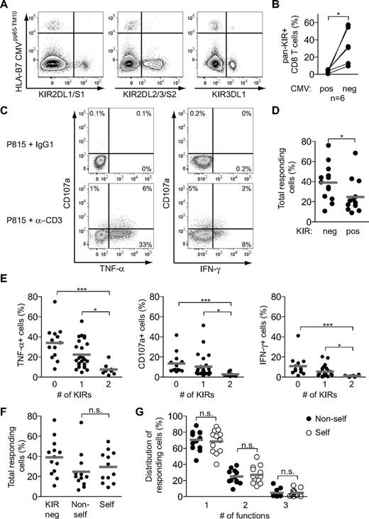Figure 7. KIR+ CD8 T cells are not educated by cognate HLA class I ligands. (A) Staining for KIR2DL1/S1, KIR2DL2/3/S2, KIR3DL1, and tetramer-defined CMV-specific cells within CD45RA+CD57+ CD8 T cells in 1 CMV-seropositive healthy individual. (B) Frequency of pan-KIR+ cells within CMV tetramer–positive and –negative CD45RA+CD57+ CD8 T cells summarized for 6 CMV seropositive healthy individuals (*P < .05, paired t test). (C) Representative stainings for CD107a, IFN-γ, and TNF-α on CD45RA+CD57+ CD8 T cells from 1 healthy individual after the indicated stimulations for 6 hours. (D) Frequency of total responding (TNF-α, CD107a, or IFN-γ) cells within KIR− and KIR+ CD45RA+CD57+ CD8 T cells (n = 13; *P < .05, Wilcoxon matched pairs test; mean). (E) Frequency of cells responding with TNF-α, CD107a, and IFN-γ within KIR−, single-KIR+ or double-KIR+ CD45RA+CD57+ CD8 T cells (n = 13, 25, and 8, respectively; ***P < .01, *P < .05, Kruskal-Wallis test with Dunn posttest; mean). (F) Frequency of total responding cells in KIR− and single KIR+ cells with or without a self-ligand present in the host for the respective KIRs (n = 13, 12, and 12, respectively; n.s. indicates not significant, Wilcoxon matched pairs test; mean). (G) Distribution of responding cells into single, double, and triple function for self and nonself single KIR+ cells (n = 12; n.s. indicates not significant, Wilcoxon matched pairs test; mean). (C-G) KIR2DL1 and KIR2DL3 were analyzed.