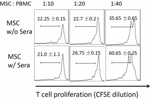 Figure 3. Complement-injured MSCs are less potent in suppressing T-cell responses. MSCs (2 × 106) were incubated at 37°C with or without 30 μL of NHS in 100 μL of GVB++ buffer for 30 minutes. After this, washed MSCs were mixed with CFSE-labeled, and activated human T cells at different ratios. For human T-cell activation, 1 × 106 of PBMCs were incubated with anti-CD3/CD28 Dynabeads following manufacturer provided protocols. After 4 days of incubation at 37°C, the efficacy of MSCs in inhibiting activated T-cell proliferation was assessed by measuring CFSE dilution on CD4+ T cells using flow cytometry. Representative results of 3 individual experiments. Data are mean ± SD