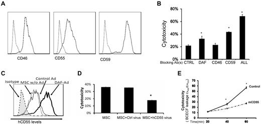 Figure 7. Roles of intrinsic cell surface complement regulators in protecting MSCs after their contact with serum. (A) MSCs constitutively express all of the intrinsic cell-surface complement regulators. MSCs (5 × 105) were stained with 5 μg/mL of anti-CD55 IgG, anti-CD46 IgG, anti-CD59 IgG (solid lines), or isotype controls (dotted line) for 30 minutes on ice, then analyzed by flow cytometry. (B) Respective protective roles of these complement regulators. MSCs were incubated 10 μg/mL of control IgG, anti-CD55 IgG, anti-CD46 IgG, anti-CD59 IgG, or all of the IgGs, then subjected to the same BCECF leakage-based cytotoxicity assays. Representative results of 3 individual experiments. Data are mean ± SD, *P < .05. (C-D) Up-regulating human CD55 expression reduces MSC cytotoxicity after their contact with human serum in vitro. Eighty percent confluent MSCs in a well of a 6-well plate were transfected with CD55-expressing adenovirus or the same titer of empty control virus. In 48 hours, transfection efficiency was monitored by checking GFP expression under a fluorescence microscope (not shown), and levels of CD55 on MSCs cell surface was assessed by flow cytometry. (C) CD55 levels on different MSCs. Shaded area, isotype control; dotted line, MSCs without transfection; thin line, MSCs transfected with control virus; thick line, MSCs transfected with CD55-expressing virus. (D) Five × 105 of each MSCs without transfection, MSCs transfected with control virus, and MSCs transfected with CD55-expressing virus were subjected to the same BCECF leakage-based cytotoxicity assays. (E) Up-regulating mouse CD55 expression reduces MSCs cytotoxicity in vivo after infusion (n = 3 in each group, *P < .05). Representative results of 3 individual experiments. Data are mean ± SD, *P < .05.