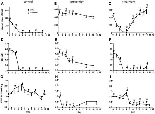 Figure 1. Blocking the VWF-GPIb interaction prevents and treats acquired TTP in baboons. All baboons in the control (left panel), prevention (middle panel), and treatment (right panel) group received repeated injections of the inhibitory anti-ADAMTS13 mAb 3H9 (black arrow heads). Severe thrombocytopenia was observed in the control group (29 ± 5 × 109/L starting at day 3; A) together with hemolytic anemia evident from the severe decrease in Hp levels (1.8 ± 0.2 g/L at day 0 and 0 ± 0g/L at day 10, n = 3, P < .001; D). As baboons in the control group did not receive any GBR600, VWF activity (VWF:RCo/VWF:Ag) was not inhibited (G). Baboons in the prevention group were treated with GBR600 for 5 days (white arrow heads, middle panel). Platelet counts did not change (476 ± 39 × 109/L at day 0 and 408 ± 43 × 109/L at day 10, n = 3, B) and the decrease in Hp levels was moderate (1.5 ± 0.2 g/L at day 0 and 0.4 ± 0.2 g/L at day 10, P = .02, n = 3; E). Inhibition of VWF:RCo activity was observed when GBR600 was administered (H). Baboons in the treatment group (n = 3) received daily injections of GBR600 (right panel, white arrow heads) from day 4 onward. Severe thrombocytopenia was observed at day 3 and 4 but quickly normalized when GBR600 was injected (434 ± 25 × 109/L at day 7 versus 463 ± 48 × 109/L at day 0, P = NS, n = 3, C). Hemolytic anemia was evident from the severe decrease in Hp levels (1.6 ± 0.4 g/L at day 0 to 0 g/L at day 4, P = .01, n = 3; F). Injection of GBR600 from day 4 onward resulted in subsequent inhibition of VWF activity (I). Data are mean ± SEM, n = 3 in each group.