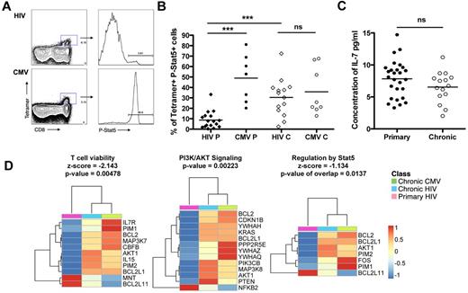 Figure 4. Phosphorylation of Stat-5 in response to exogenous IL-7 for HIV- and CMV-specific CD8 T cells in primary infection. (A) Dot plots for P-Stat5 staining on subjects AEI049 V2 and AEI003622 V2 in primary infection for B8FL8 and B7TM10-specific responses, respectively. (B) Percentage of P-Stat5 after 15 minutes with IL-7 at 5 ng/mL on tetramer+ cells for HIV (diamond) and CMV (circles)-specific CD8 T cells in primary and chronic infection. (C) Concentration of IL-7 (pg/mL) in plasma of patients in primary infection compared with chronic infection. (D) Heatmaps of genes significantly modulated between HIV-specific CD8 T cells in primary infection (pink) and HIV- and CMV-specific CD8 T cells in chronic infection (blue and green, respectively) in the γC receptor cytokine signaling pathways. Color scale represents the z-score of the mean expression value of each group for the genes significantly modulated within the pathways. ***P < .0005. ns indicates not significant.
