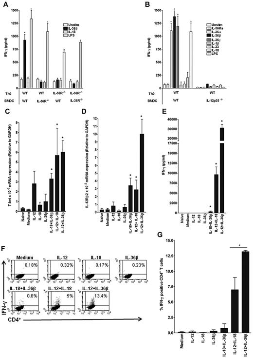 Figure 2. Importance of IL-12 for the effect of IL-36 on Th1 differentiation. FACS-sorted naive CD4+T cells from WT (A-B) or IL-36R−/− (A) mice were activated with anti-CD3/anti-CD28 mAbs and cocultured with BMDCs from either WT (A-B), IL-36R−/− (A), or IL-12p35−/− (B) mice in the absence or presence of IL-36R ligands, IL-1β, IL-33, IL-18, and LPS (100 ng/mL). Three days later, IFN-γ was measured in the supernatant by ELISA (A-B). Data are shown from one of 3 independent experiments with similar results. Error bars represent the SD of triplicates in the same experiment. *P < .05 (Student t test), IL-36, IL-1β, IL-33, IL-18, or LPS stimulation significantly differs from unstimulated cells. (C-D) FACS-sorted naive CD4+ T cells were activated (Medium) or not (Naive) with plate-bound anti-CD3/anti-CD28 mAbs and stimulated for 72 hours with IL-12 (10 ng/mL), IL-18 (100 ng/mL), IL-36β (100 ng/mL) either alone or in various combinations as indicated. Total mRNA was isolated for analyses by quantitative RT-PCR. Results represent T-bet (C) and IL-12Rβ2 (D) mRNA expression levels relative to GAPDH. Error bars represent the SD of the mean of 3 independent experiments. *P < .05 (Student t test), IL-36, IL-12, and IL-18 stimulation alone or in combination significantly differs from unstimulated cells. (E) IFN-γ secretion was measured in culture supernatants by ELISA. Data are shown from one of 3 independent experiments with similar results. Error bars represent SD of triplicates in the same experiment. *P < .05 (Student t test), IL-36, IL-12, and IL-18 stimulation alone or in combination significantly differs from unstimulated cells. (F) Flow cytometric analysis of intracellular staining of IFN-γ in CD4+ T cells obtained from WT mice and cultured for 3 days with priming (anti-CD3/anti-CD28 mAbs) and different stimulations as indicated. FACS profiles shown in panel F represent one of 3 independent experiments with similar results for which quantitative data are shown in panel G. (G) Results represent the percentage of IFN-γ–positive CD4+ T cells for each condition. Error bars represent the SD of the mean of 3 independent experiments. *P < .05 (Student t test), percentage of IFN-γ–positive CD4+ T cells after IL-12/IL-18 stimulation significantly differs from IL-12/IL-36β stimulation.