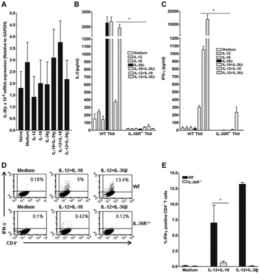 Figure 4. Importance of endogenous IL-36 in the Th1 response. (A) FACS-sorted naive CD4+ T cells were activated (Medium) or not (Naive) with plate-bound anti-CD3 and anti-CD28 mAb and stimulated with IL-12 (10 ng/mL), IL-18 (100 ng/mL), IL-36β (100 ng/mL) either alone or in various combinations as indicated for 72 hours. Total mRNA was isolated from naive T cells for analyses by quantitative RT-PCR. Results represent IL-36β mRNA expression levels relative to GAPDH. Error bars represent the SD of the mean of 3 independent experiments. (B-C) IL-2 (B) and IFN-γ (C) production profiles in WT and IL-36R−/− naive CD4+T cells after different stimulations as indicated. Data are shown from one of 3 independent experiments with similar results. Error bars represent SD of triplicates in the same experiment. *P < .05 (Student t test), IL-12 + IL-18 stimulation in WT Th0 cells significantly differs from the same stimulation in IL-36R−/− Th0 cells. (D-E) Activated WT and IL-36R−/− Th0 cells were stimulated or not with IL-12/IL-18 and IL-12/IL-36β combinations and then treated with PMA plus ionomycin for 5 hours. IFN-γ–expressing CD4+ T cells were detected by intracellular staining and quantified by flow cytometry. FACS profiles shown in panel D represent one of 3 independent experiments with similar results for which quantitative data are shown in panel E. (E) Results represent the percentage of IFN-γ+CD4+ T cells for each condition. Error bars represent the SD of the mean of 3 independent experiments. *P < .05 (Student t test), IL-12 + IL-18 stimulation in WT cells significantly differs from the same stimulation in IL-36R−/− cells.
