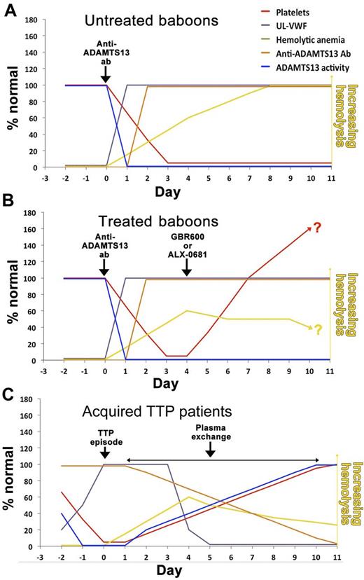 Schematic representation of parameters in the baboon model of TTP (A), with treatment with either GBR600 or ALX-0681 (B), or in patients with acquired TTP receiving plasma exchange therapy (C).