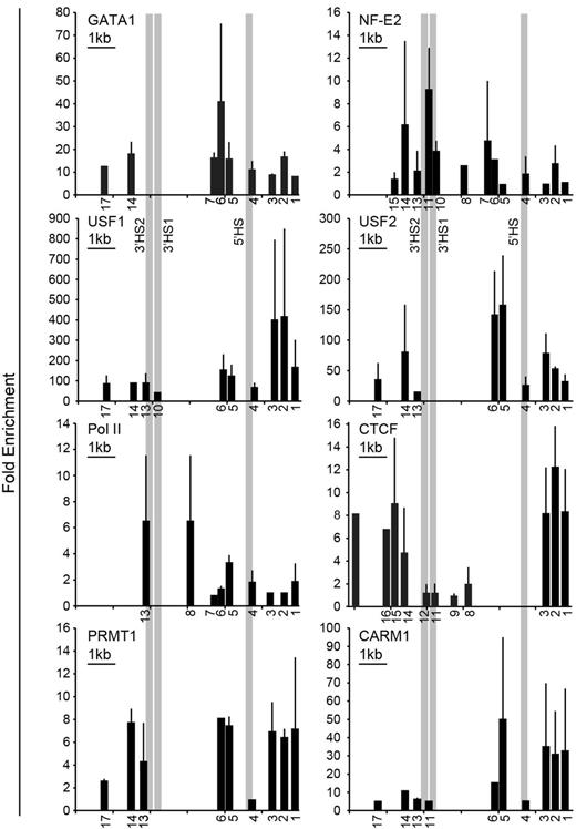 Figure 3. Validation of DNA binding protein occupancy. ChIP analysis of K562 chromatin for occupancy by the erythroid-specific transcription factors GATA1 and NF-E2; RNA Pol II; the chromatin architectural protein CTCF; and the barrier-associated proteins USF1, USF2, PRMT1, and CARM1. The numbers below the x-axes indicate the locations of the primers used (see supplemental Table 1 for coordinates) and are distributed to scale. A 1-kb scale bar is shown in the top left corner of each graph. The absence of a number below the x-axis indicates that the region either was not tested or the result was not significant. The y-axis shows the fold enrichment over precipitation with immunoglobulin G. The bars represent the results of multiple ChIP experiments. Each ChIP experiment was done in triplicate, and the standard deviation is displayed. Each bar shown is significant at P < .05 or lower compared with control. The CTCF results are the combination of several ChIP experiments and the relative enrichment cannot be compared.